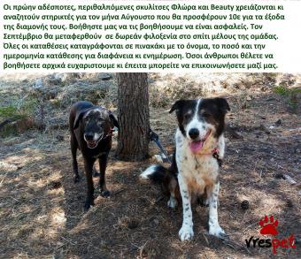 Ράτσα: Άλλη Ράτσα | Ηλικία: 4 ετών | Φύλο: Θηλυκό | Αρ. Microchip: 9810021232121212 | Περιοχή: Αττική
